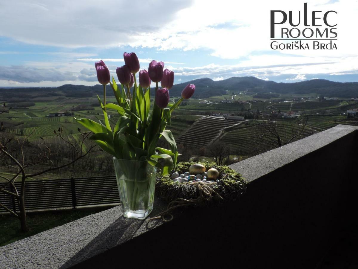 Apartma Sobe Pulec Dobrovo Exterior foto